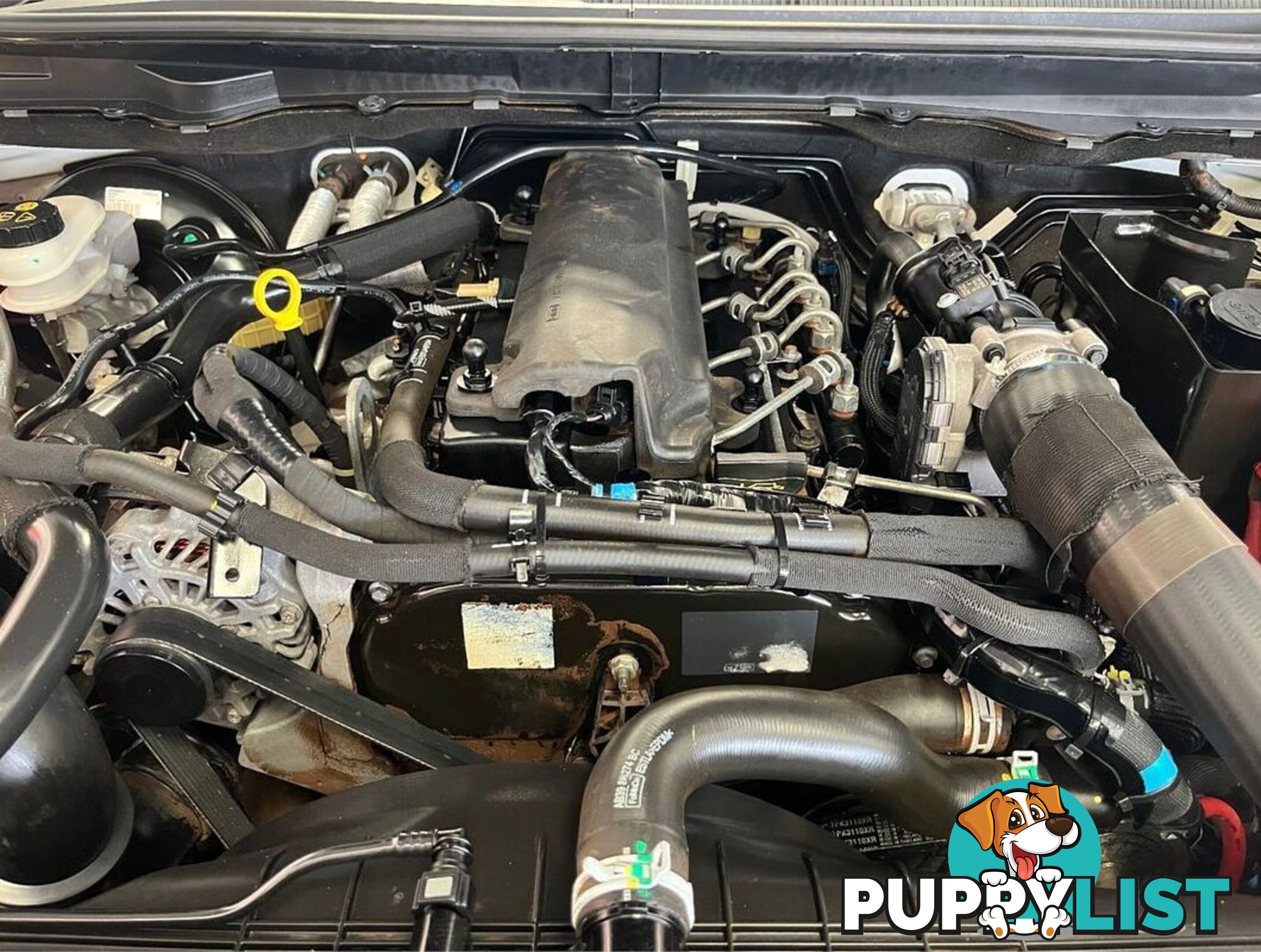 2019 FORD RANGER XL PX MKIII CAB CHASSIS