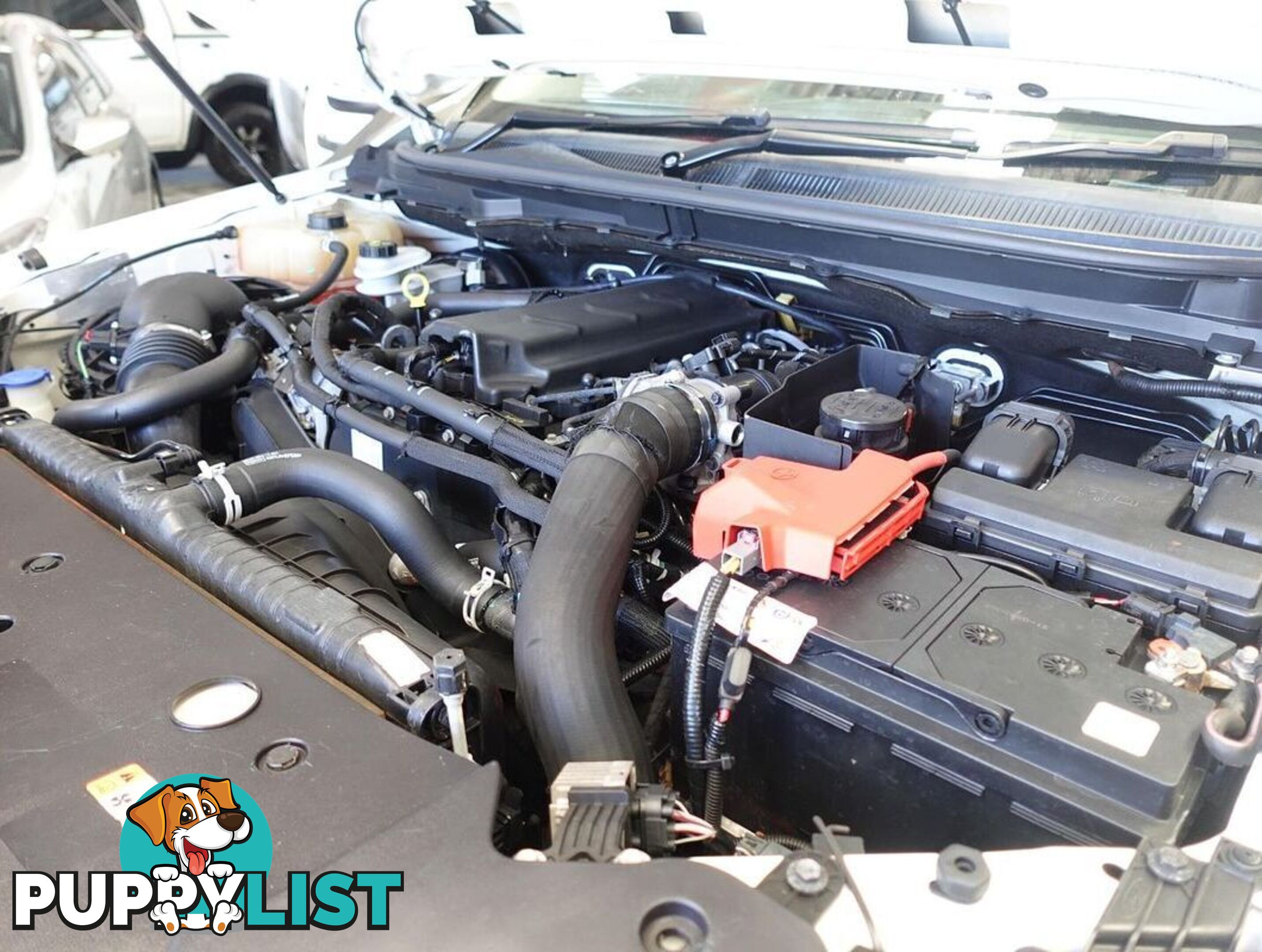 2019 FORD RANGER XL PX MKIII CAB CHASSIS