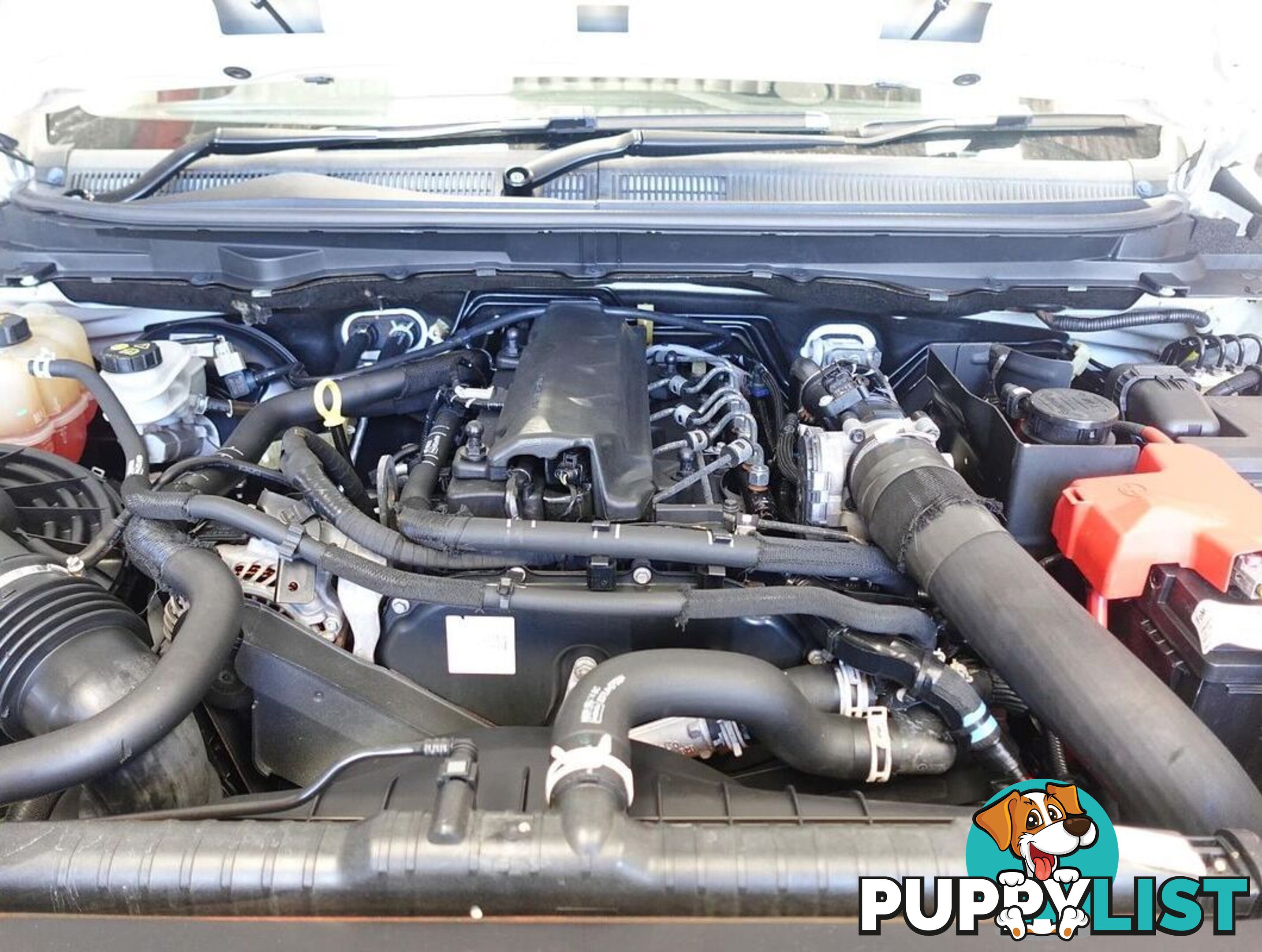 2019 FORD RANGER XL PX MKIII CAB CHASSIS