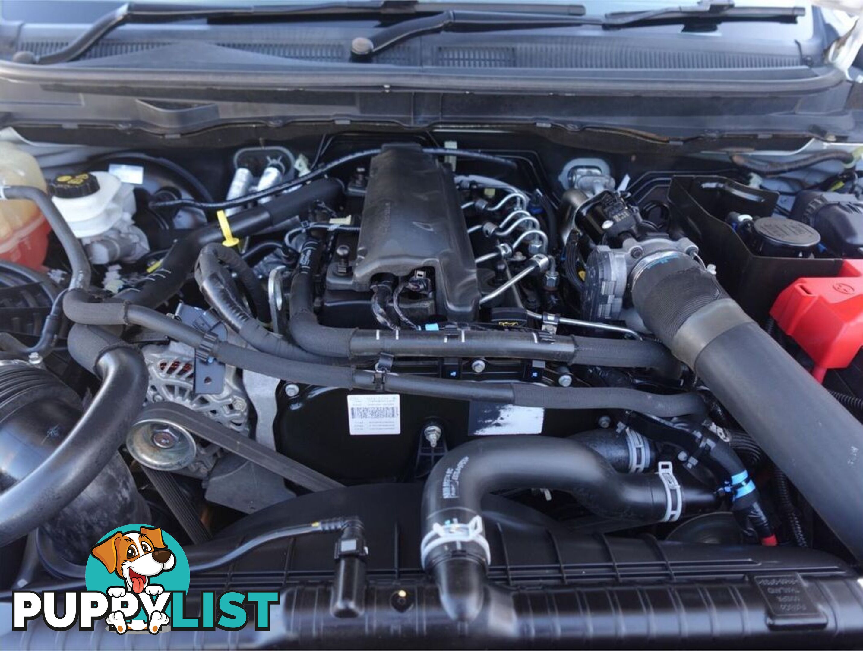 2021 FORD RANGER XL PX MKIII CAB CHASSIS
