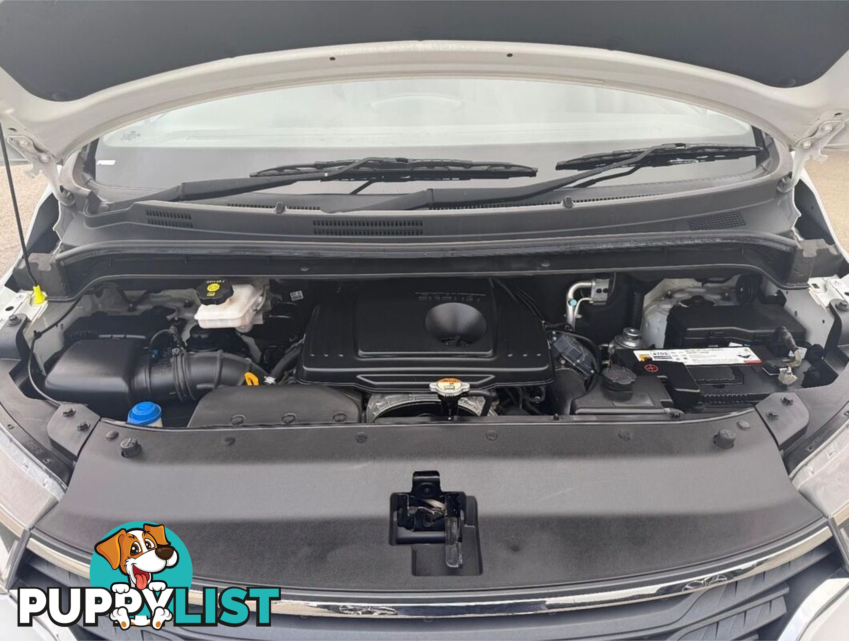 2019 HYUNDAI IMAX ACTIVE TQ4 WAGON