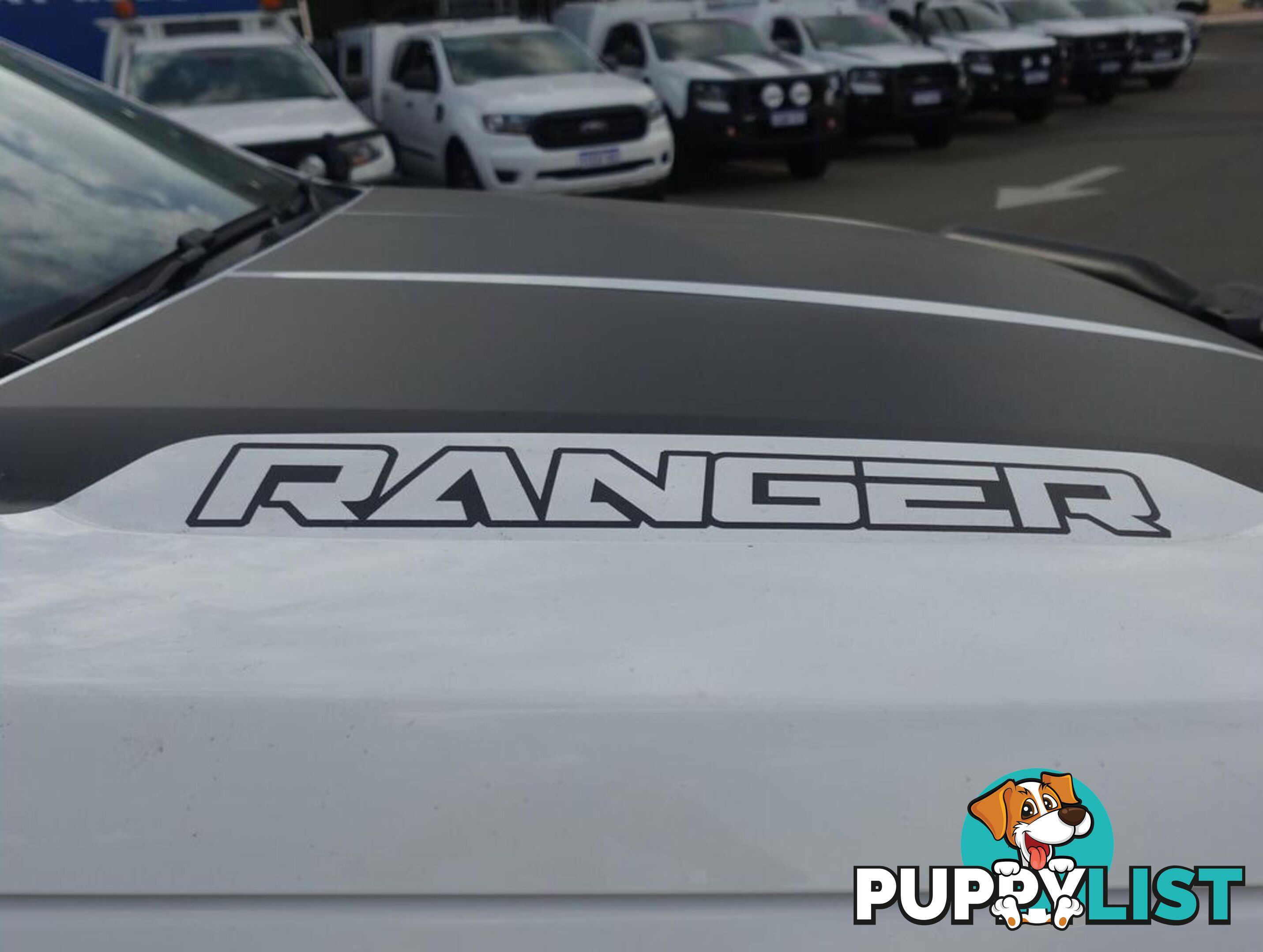 2020 FORD RANGER XL PX MKIII UTILITY