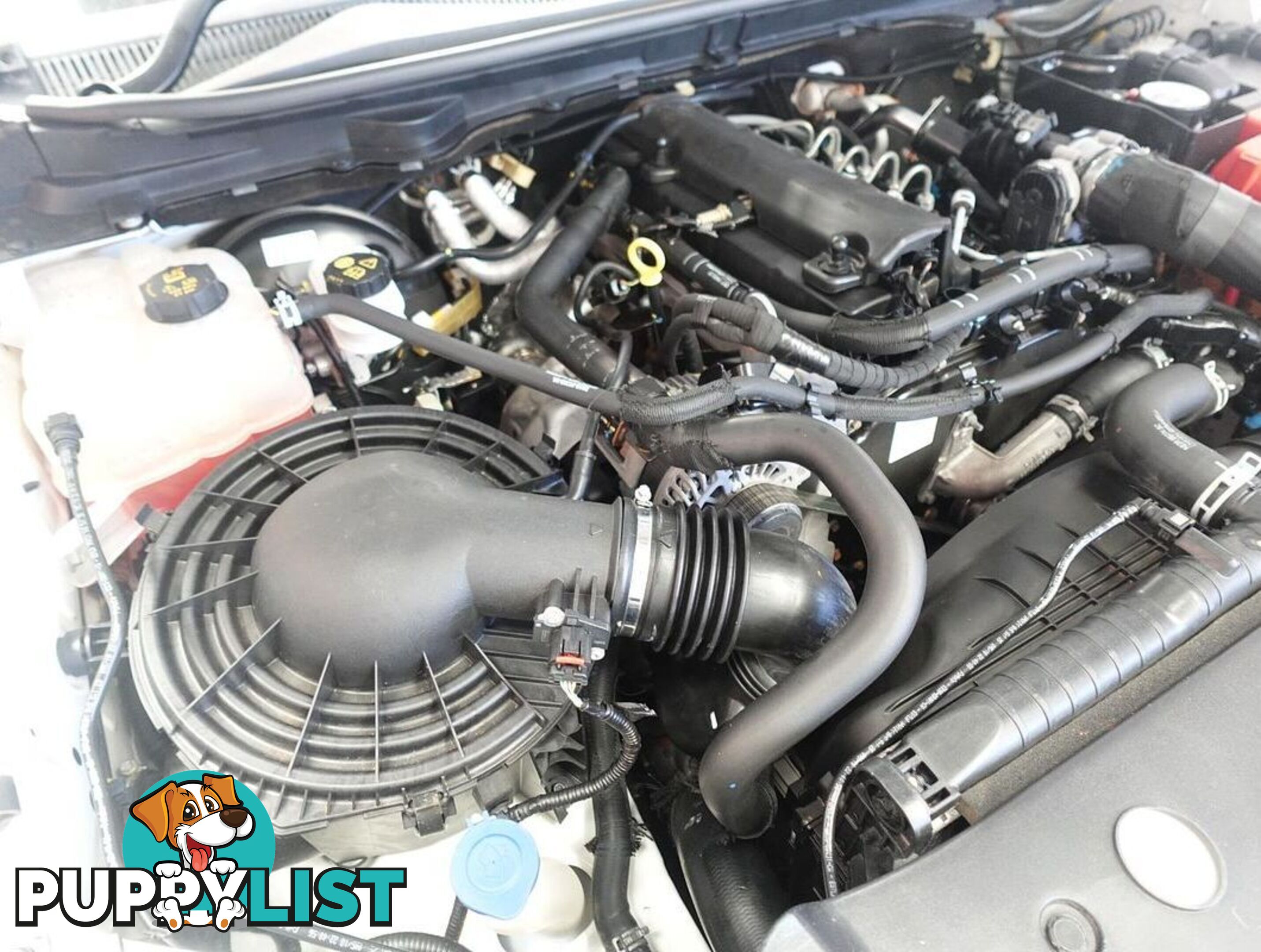 2018 FORD RANGER XL PX MKIII CAB CHASSIS