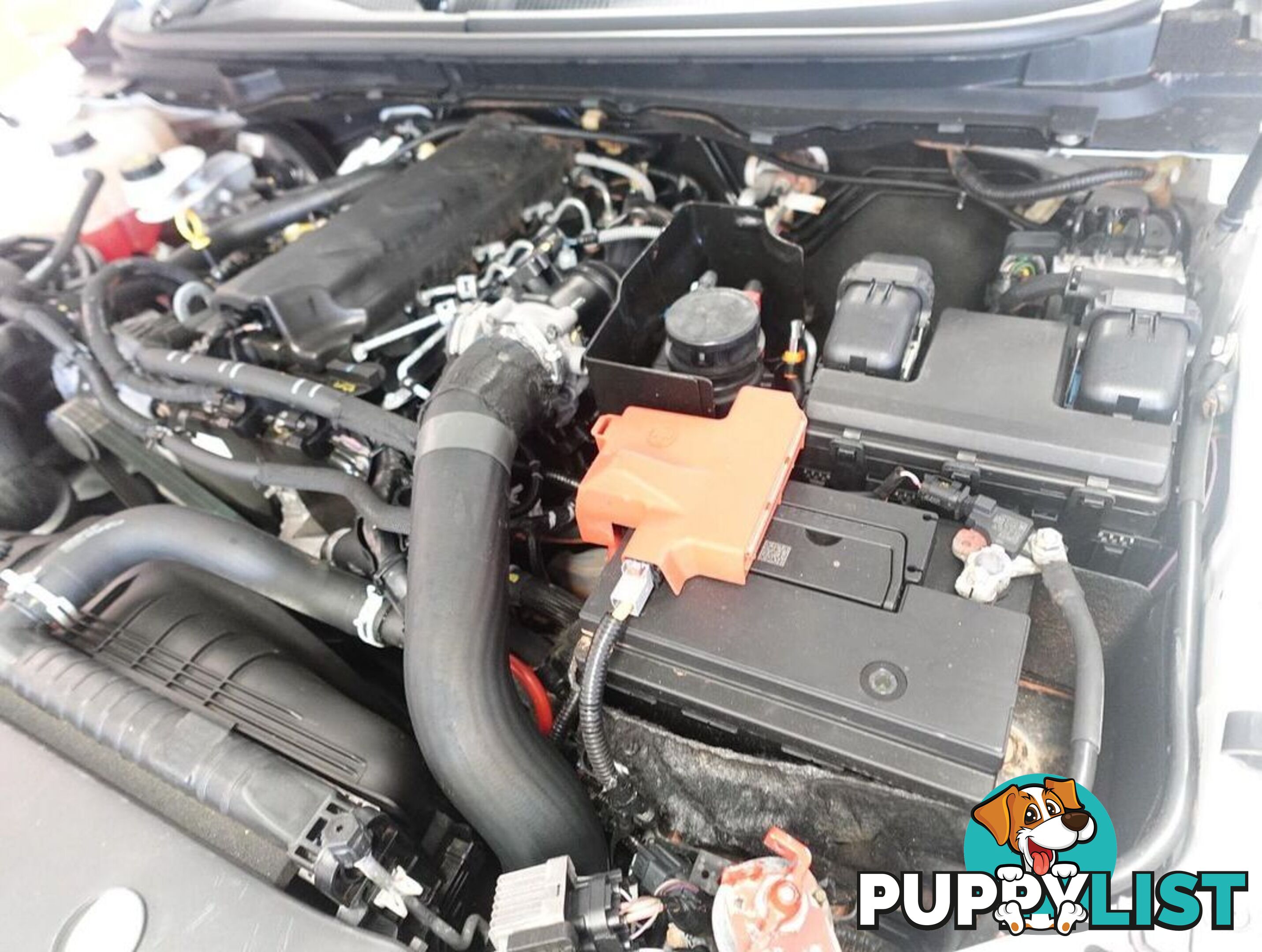 2018 FORD RANGER XL PX MKIII CAB CHASSIS