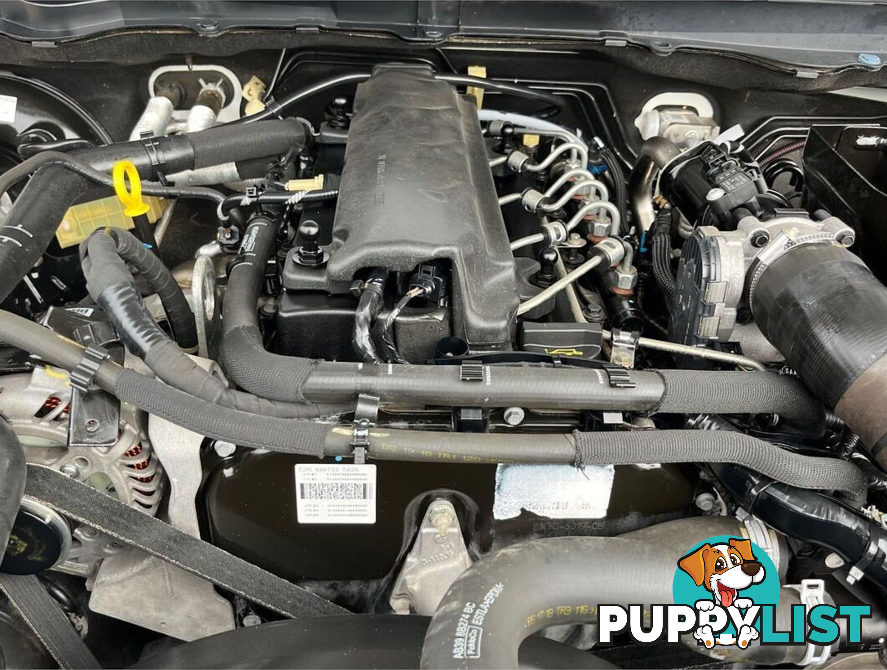 2018 FORD RANGER XL PX MKIII CAB CHASSIS