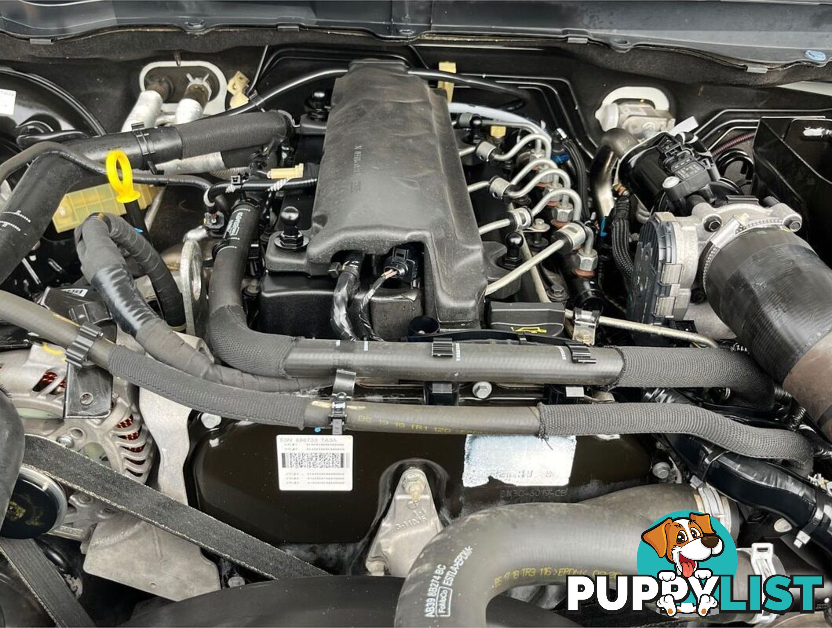2018 FORD RANGER XL PX MKIII CAB CHASSIS