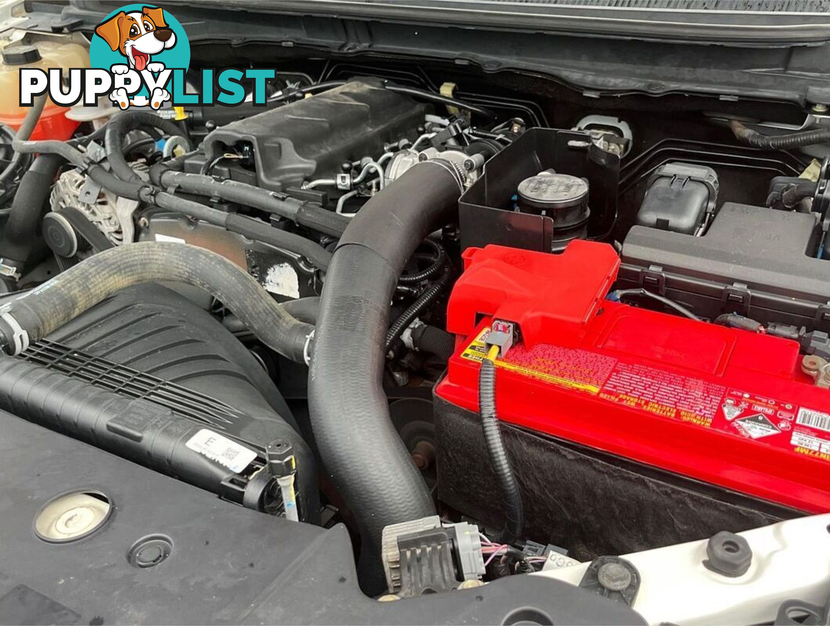 2019 FORD RANGER XL PX MKIII CAB CHASSIS