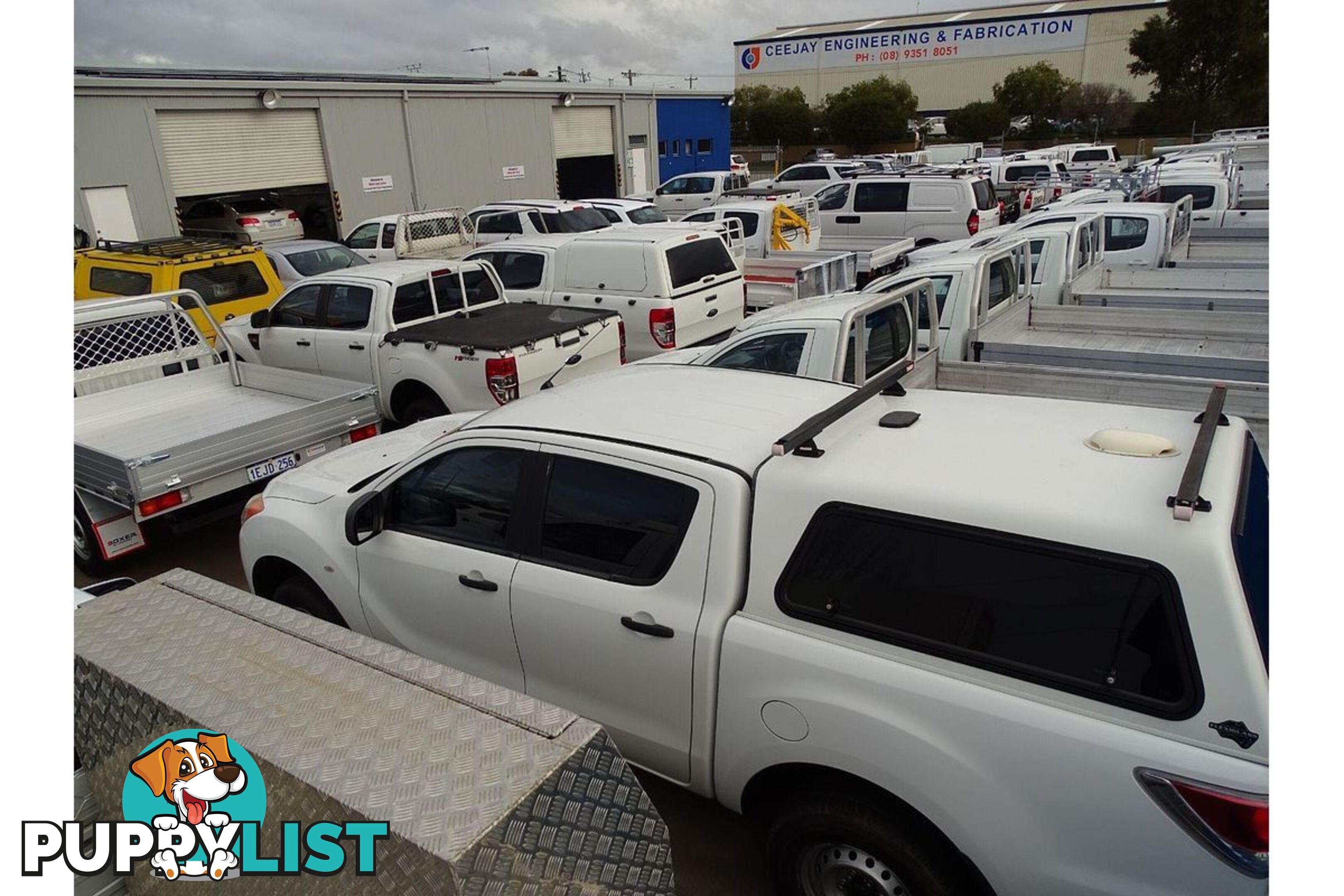 2019 FORD RANGER XL PX MKIII UTILITY