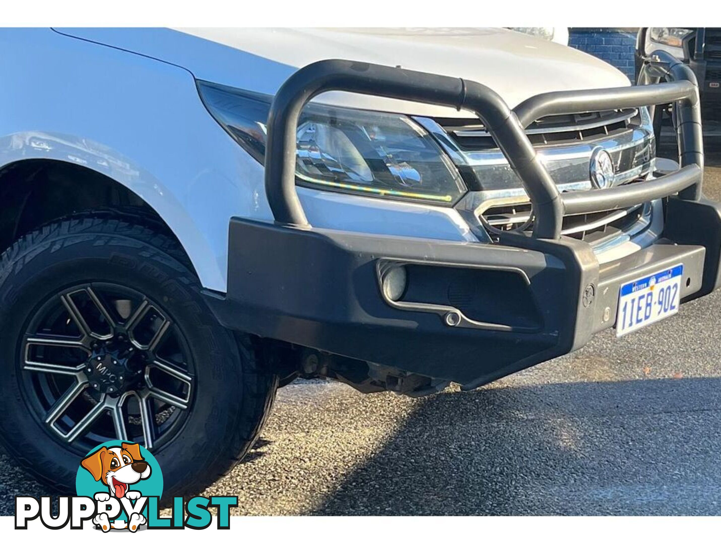 2019 HOLDEN COLORADO LS RG UTILITY