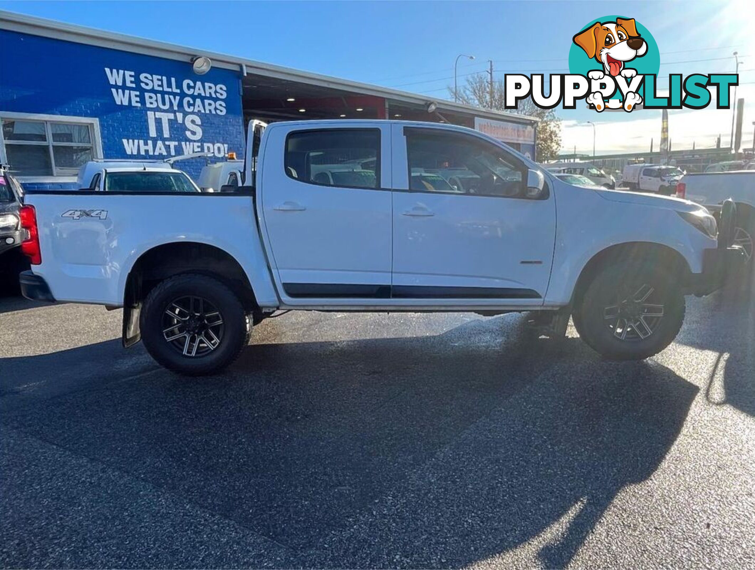 2019 HOLDEN COLORADO LS RG UTILITY