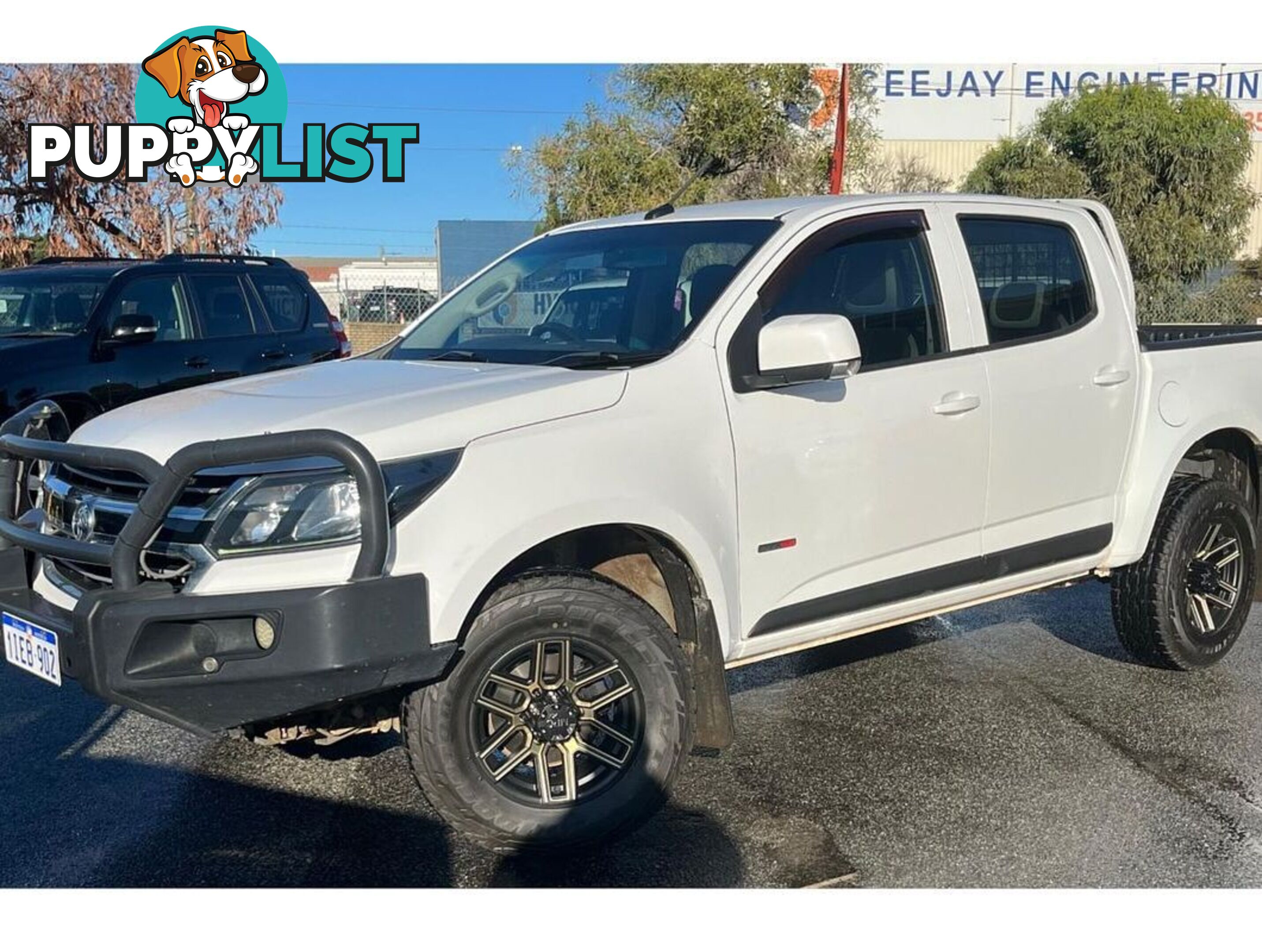 2019 HOLDEN COLORADO LS RG UTILITY