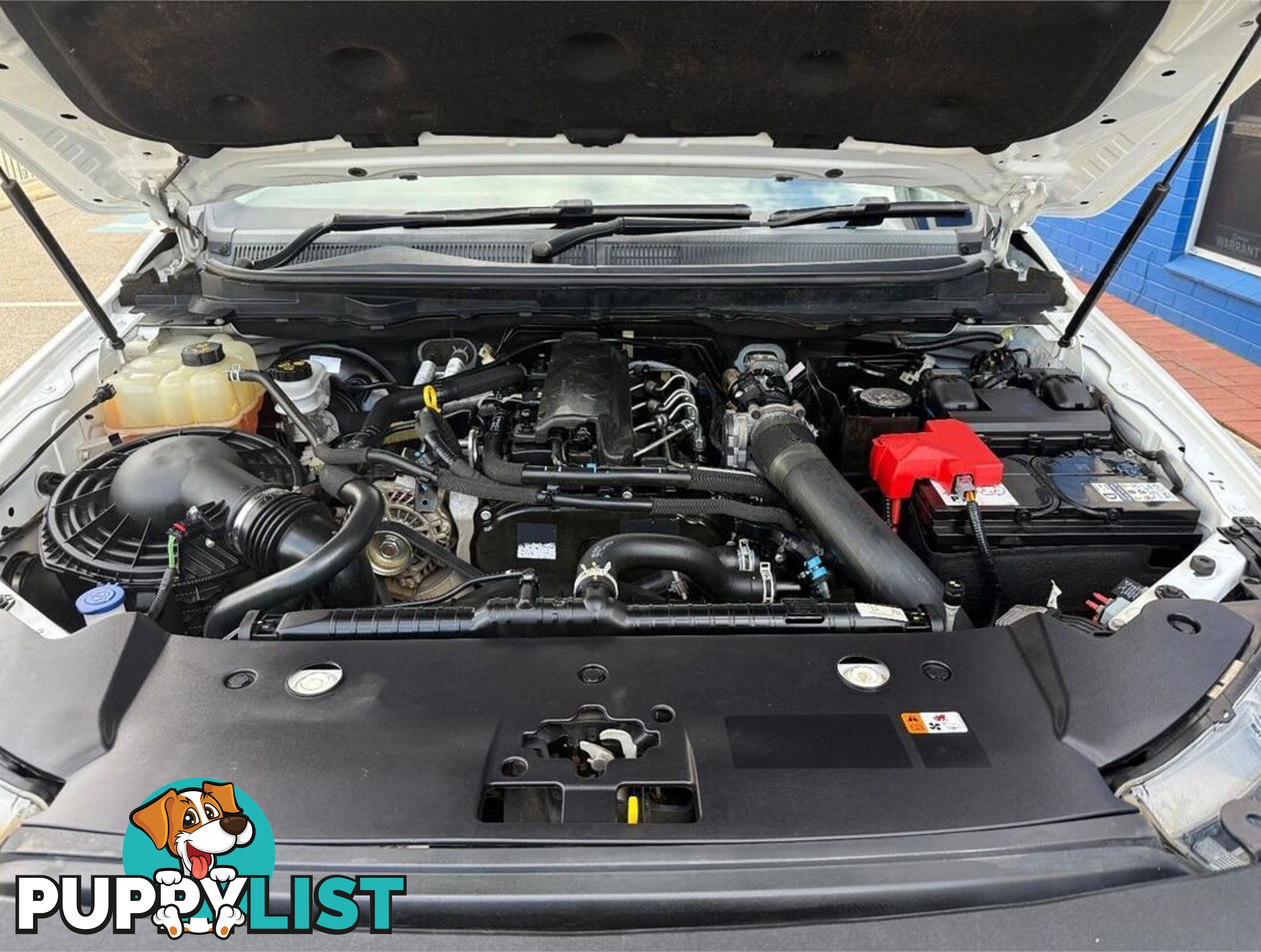 2021 FORD RANGER XL PX MKIII CAB CHASSIS