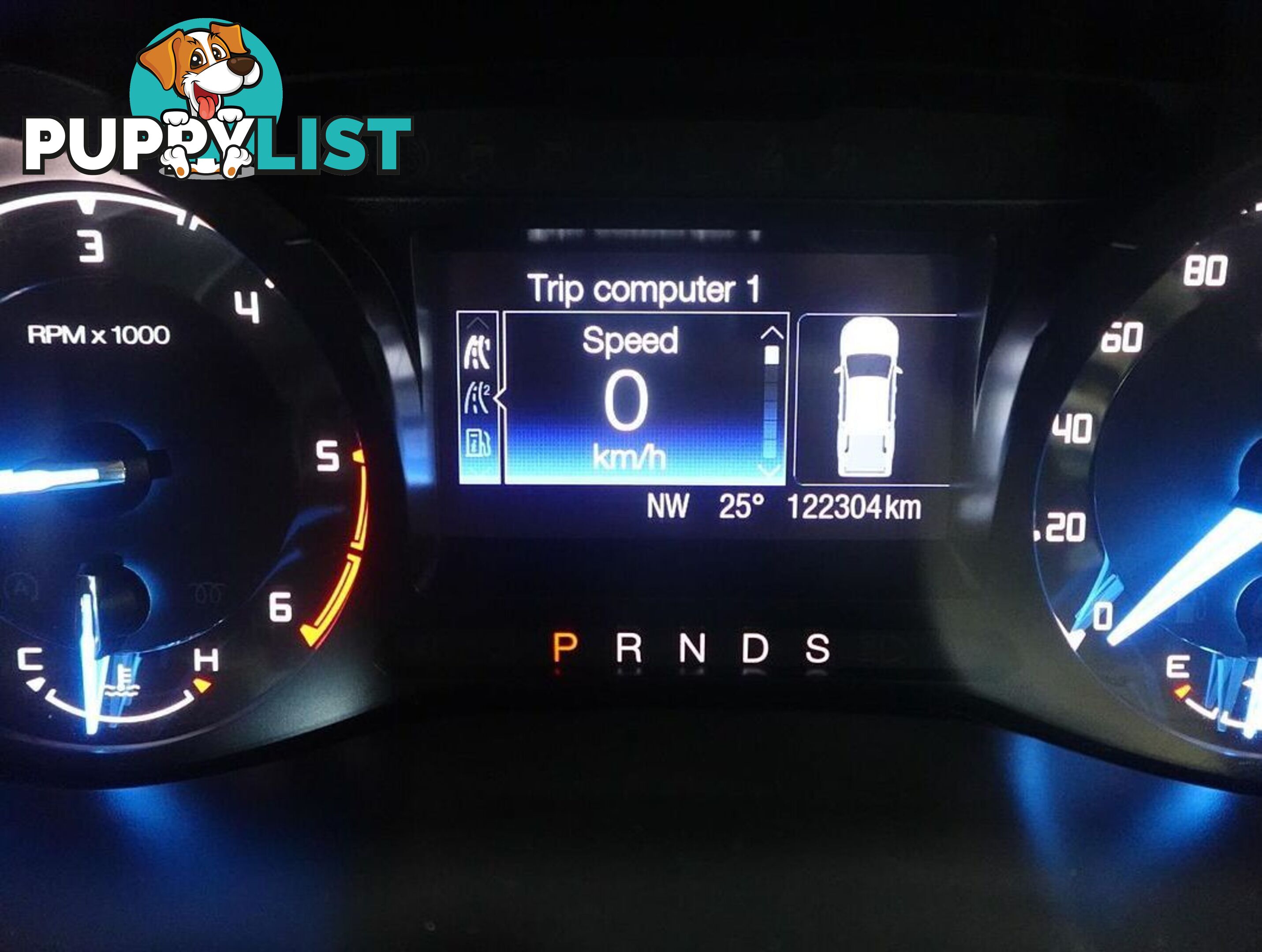 2019 FORD RANGER XL HI-RIDER PX MKIII UTILITY