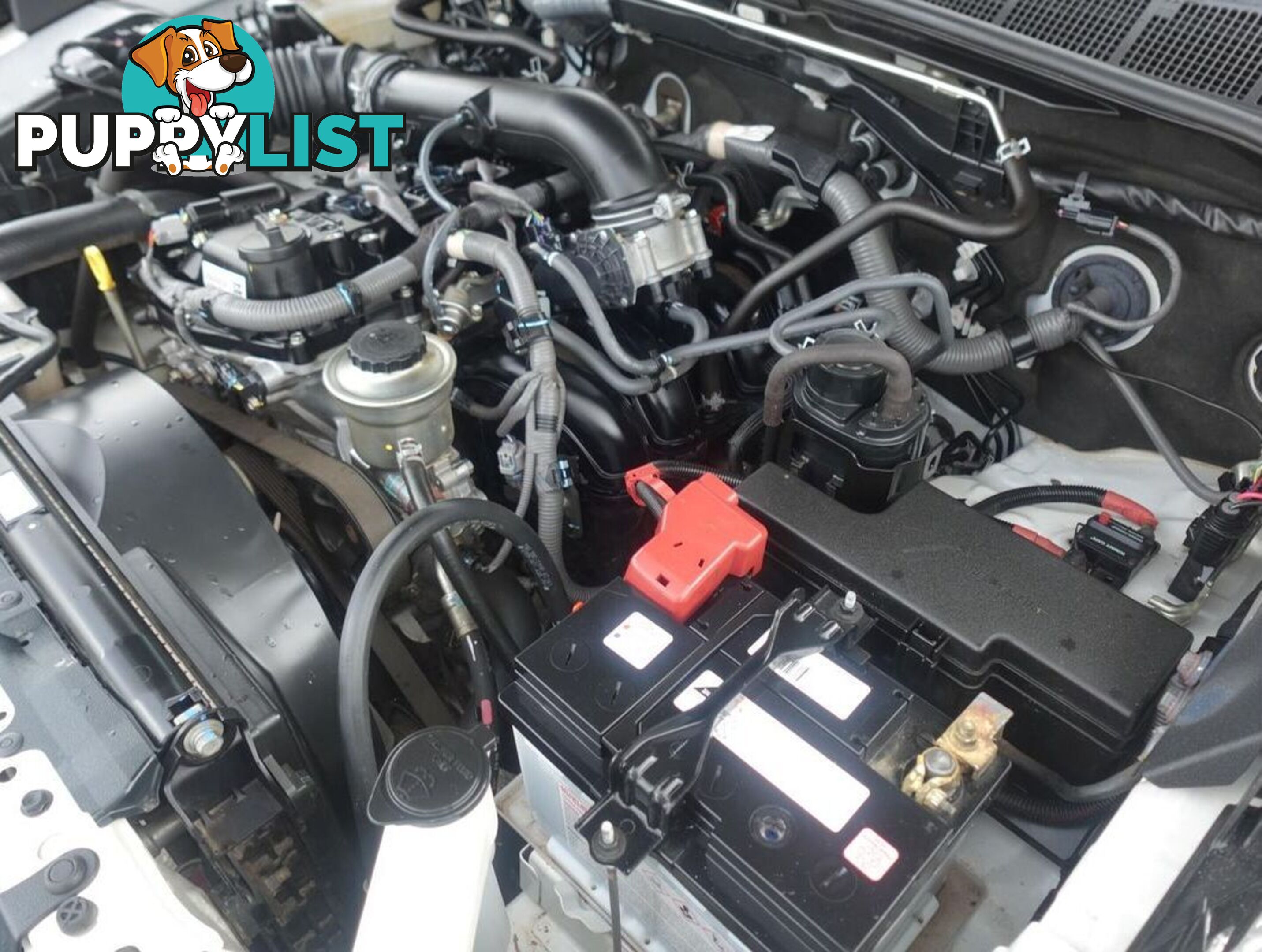 2019 TOYOTA HILUX WORKMATE TGN121R CAB CHASSIS