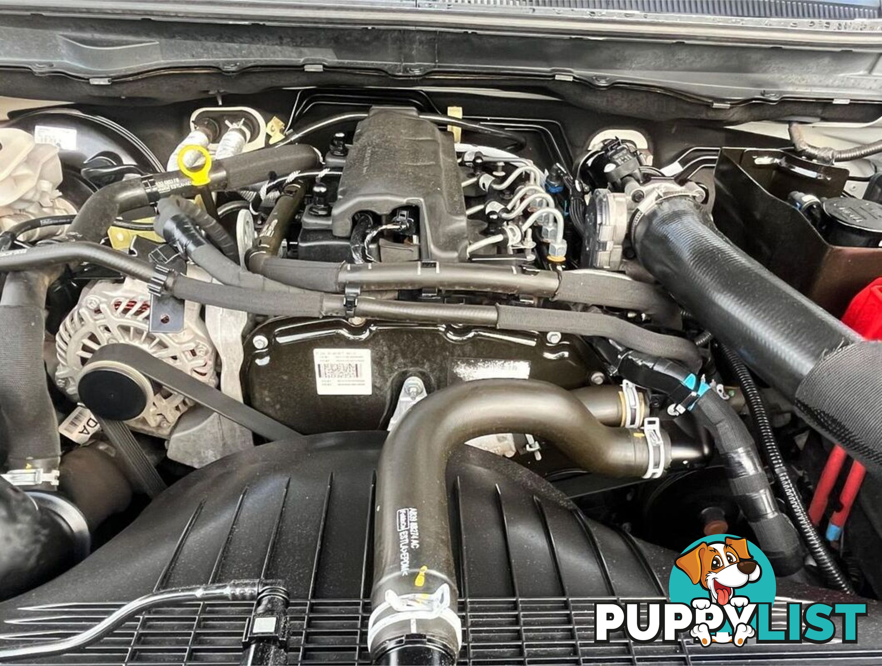 2019 FORD RANGER XL HI-RIDER PX MKIII CAB CHASSIS