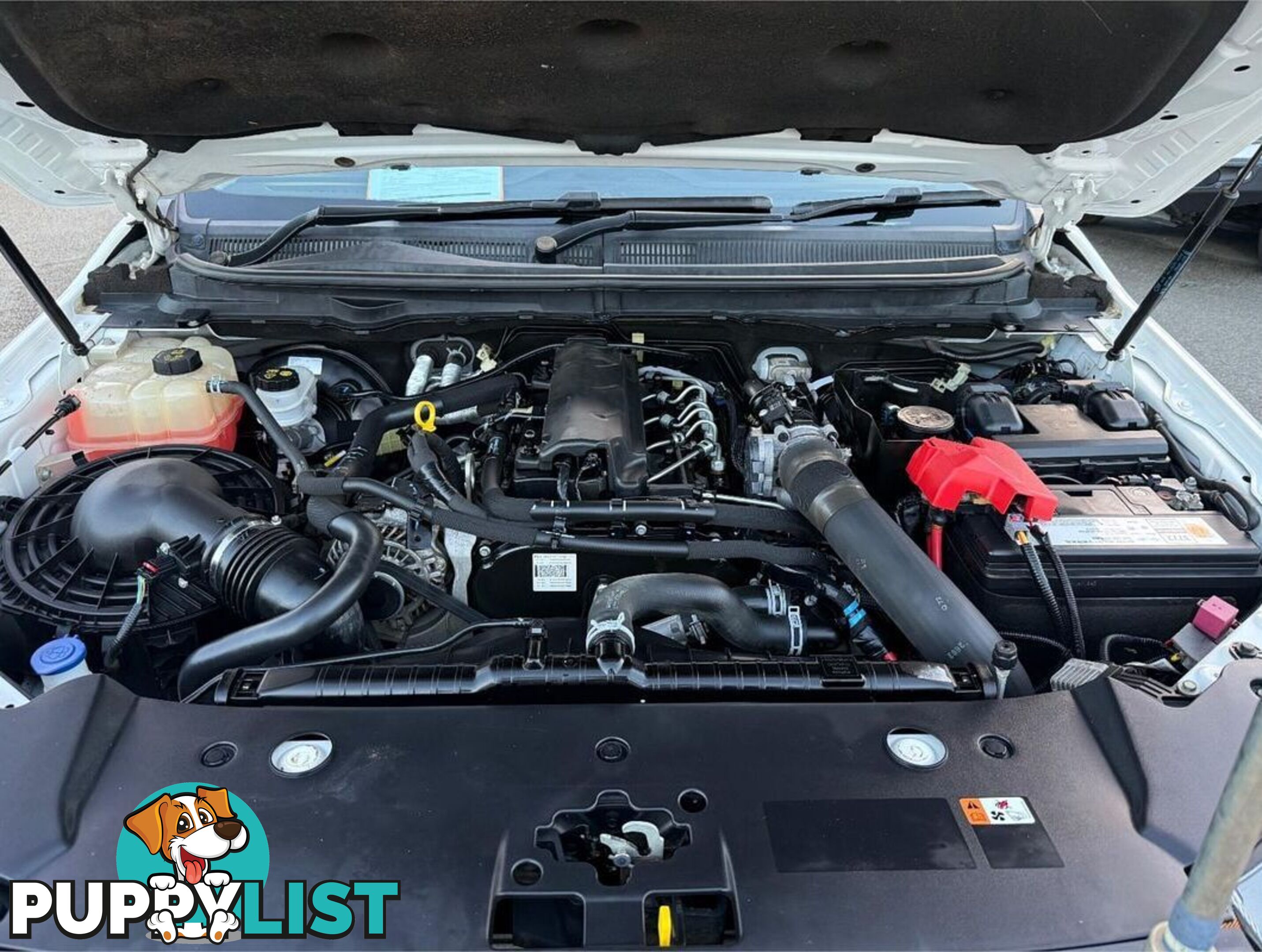2019 FORD RANGER XL PX MKIII UTILITY