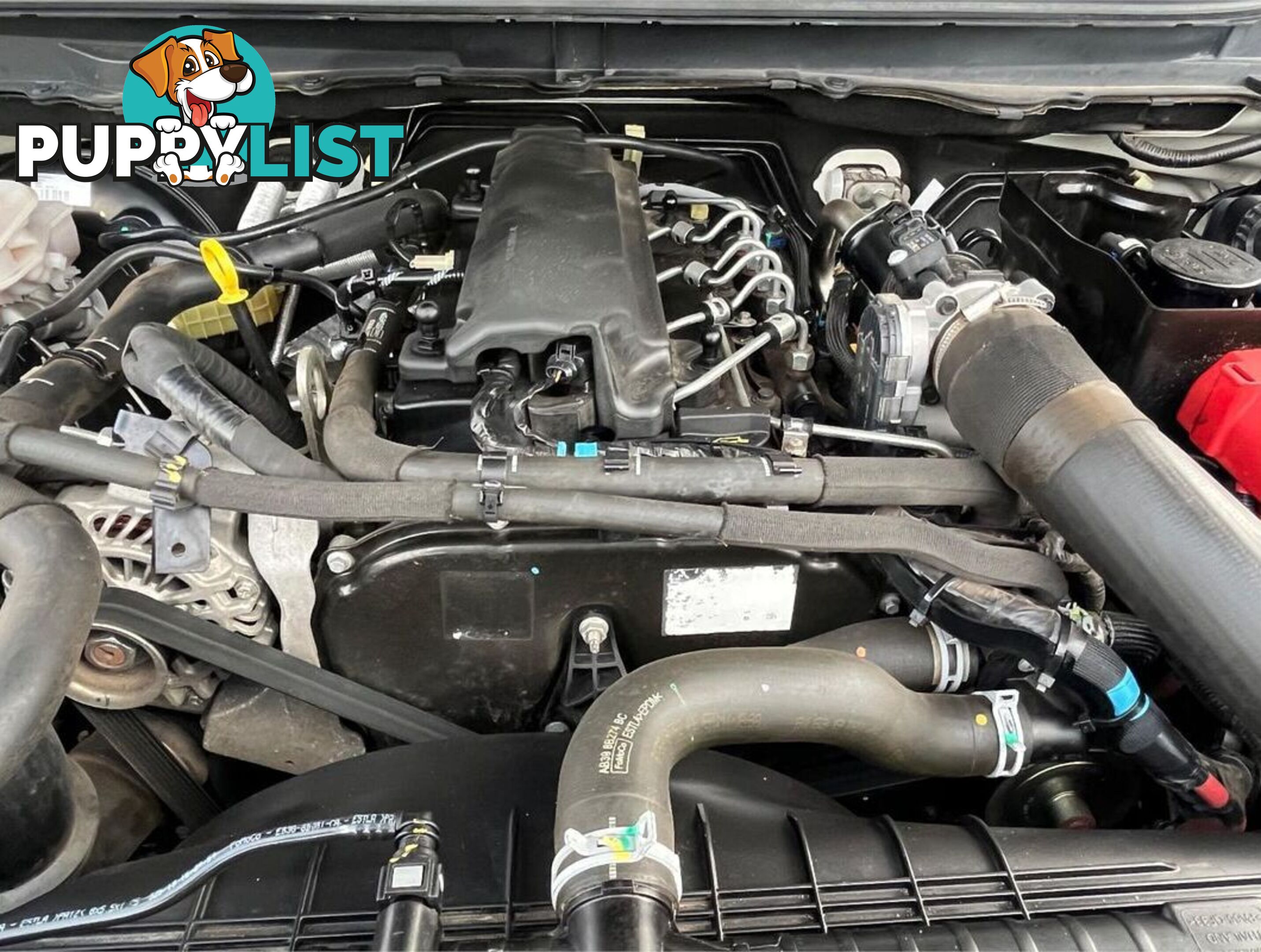 2020 FORD RANGER XL PX MKIII CAB CHASSIS