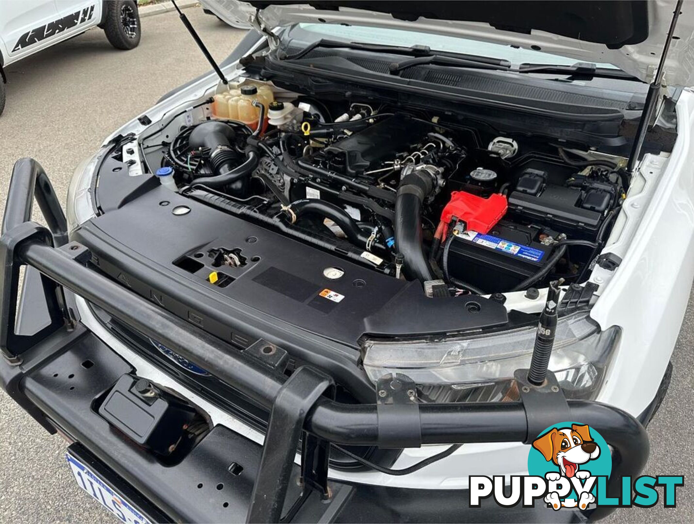 2019 FORD RANGER XL PX MKIII CAB CHASSIS