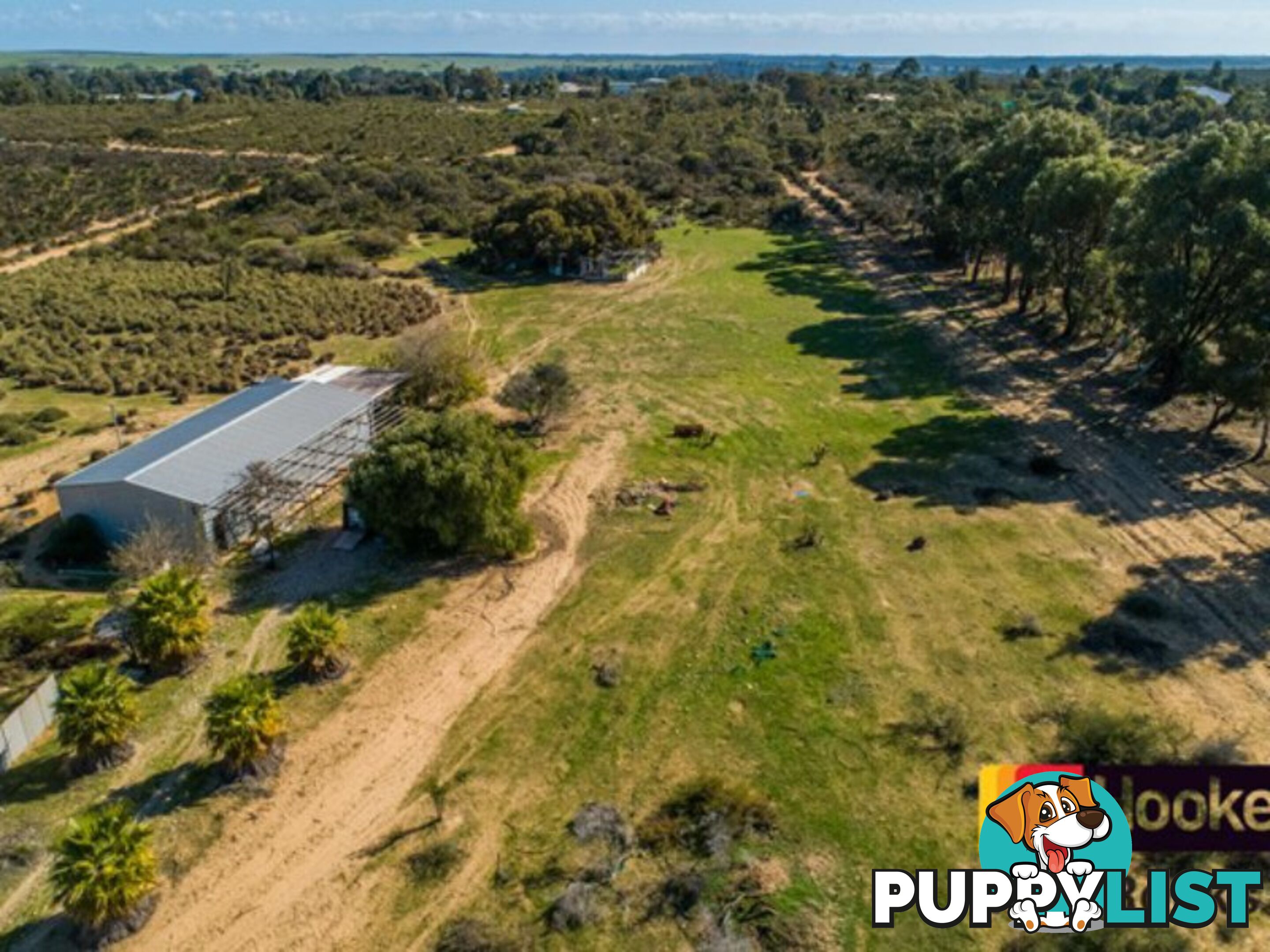 109 Paperbark Avenue GABBADAH WA 6041