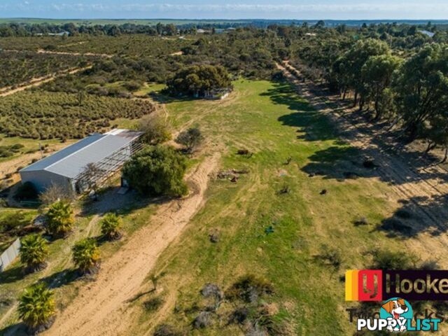 109 Paperbark Avenue GABBADAH WA 6041