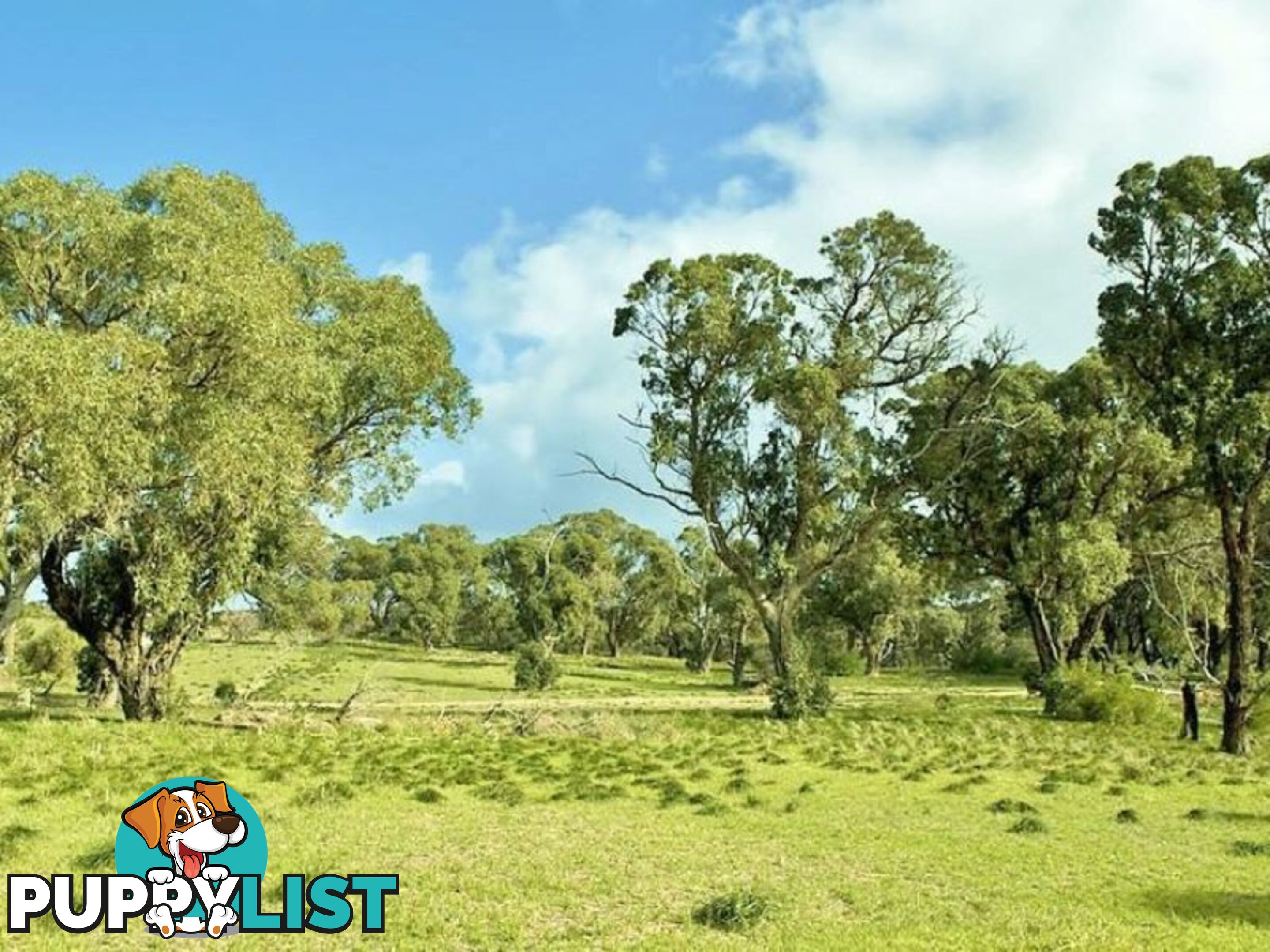 Lot 66 Cinnamon Meander TWO ROCKS WA 6037