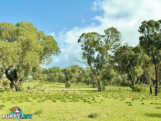 Lot 66 Cinnamon Meander TWO ROCKS WA 6037