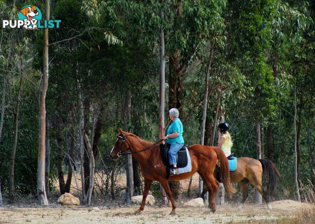 Lot 66 Cinnamon Meander TWO ROCKS WA 6037