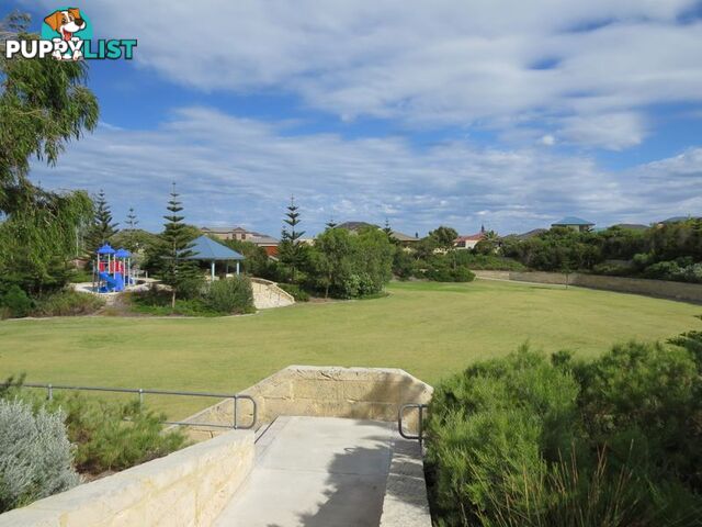 4 Cobia Vista YANCHEP WA 6035