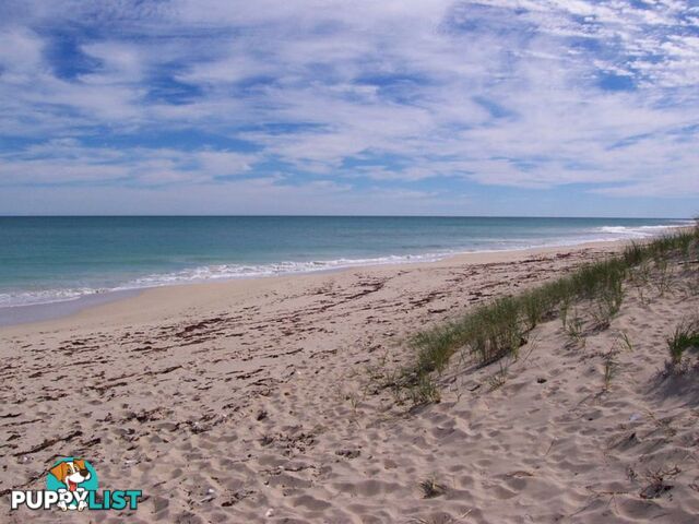 4 Cobia Vista YANCHEP WA 6035