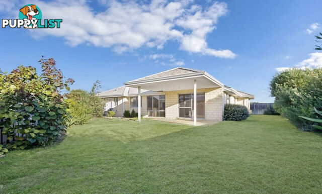 19 Harford Grove YANCHEP WA 6035