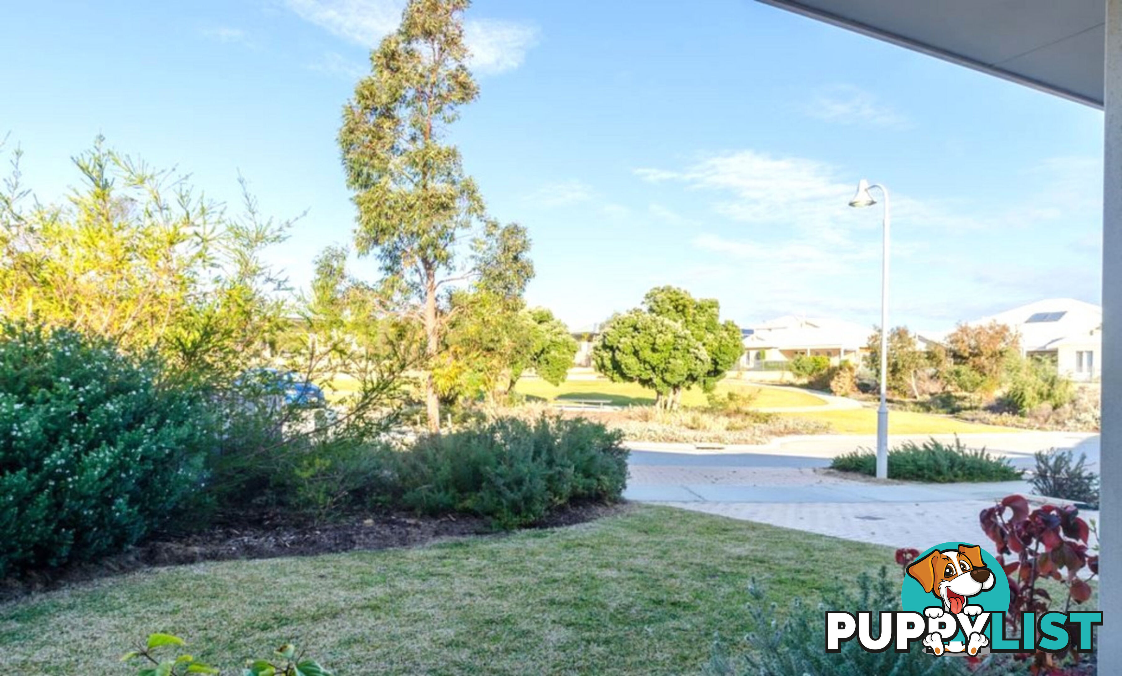 19 Harford Grove YANCHEP WA 6035