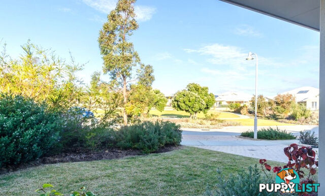 19 Harford Grove YANCHEP WA 6035