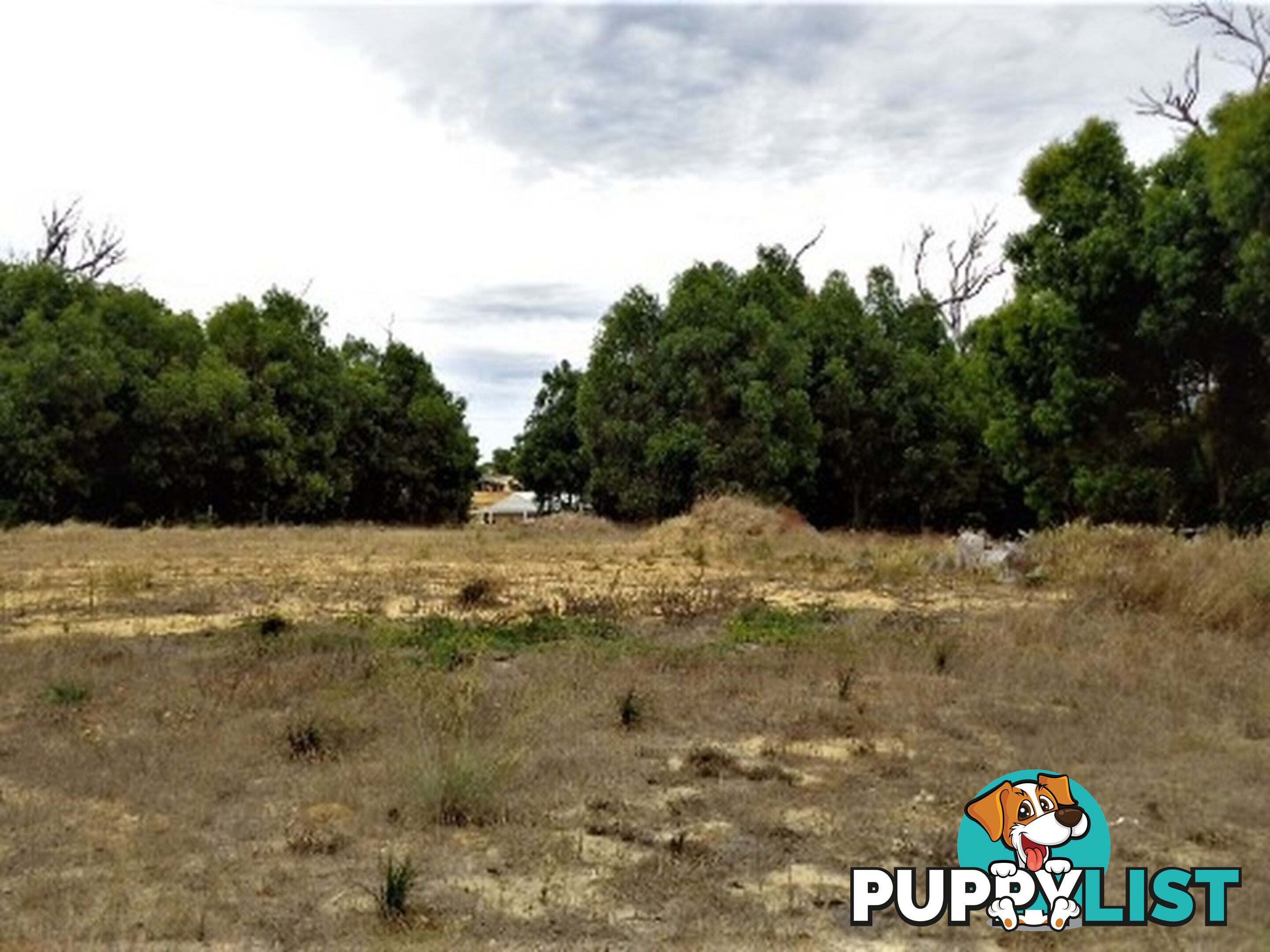 Lot 96 Cinnamon Meander TWO ROCKS WA 6037