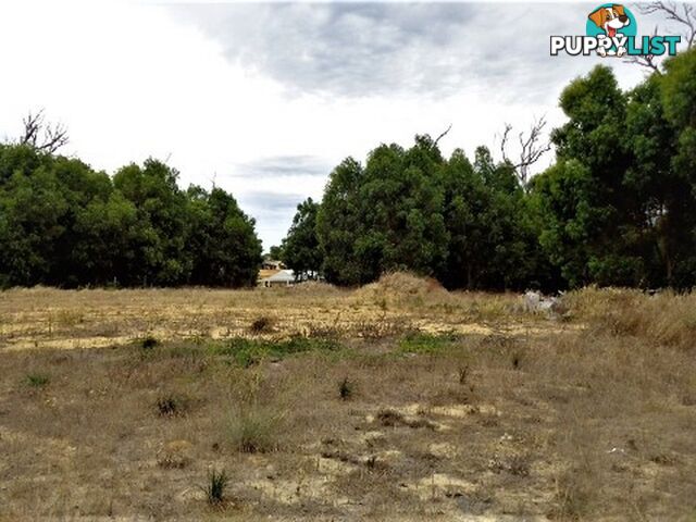 Lot 96 Cinnamon Meander TWO ROCKS WA 6037