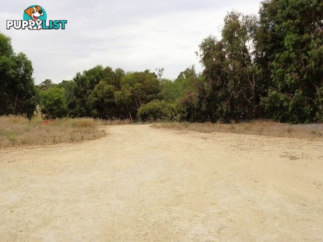 Lot 96 Cinnamon Meander TWO ROCKS WA 6037