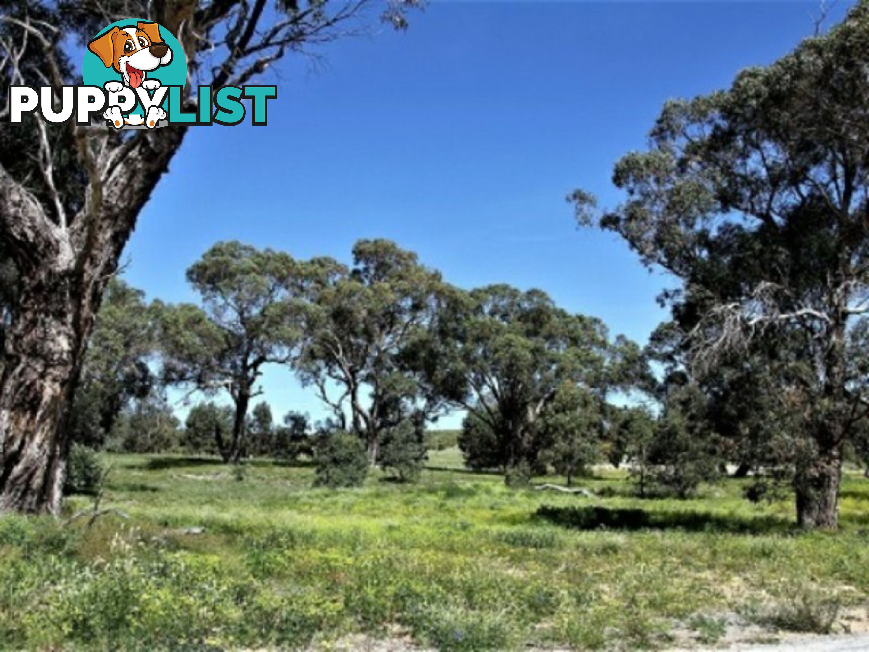 Lot 115 Cinnamon Meander TWO ROCKS WA 6037