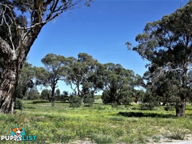 Lot 115 Cinnamon Meander TWO ROCKS WA 6037