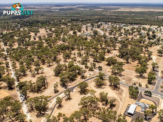 Lot 115 Cinnamon Meander TWO ROCKS WA 6037