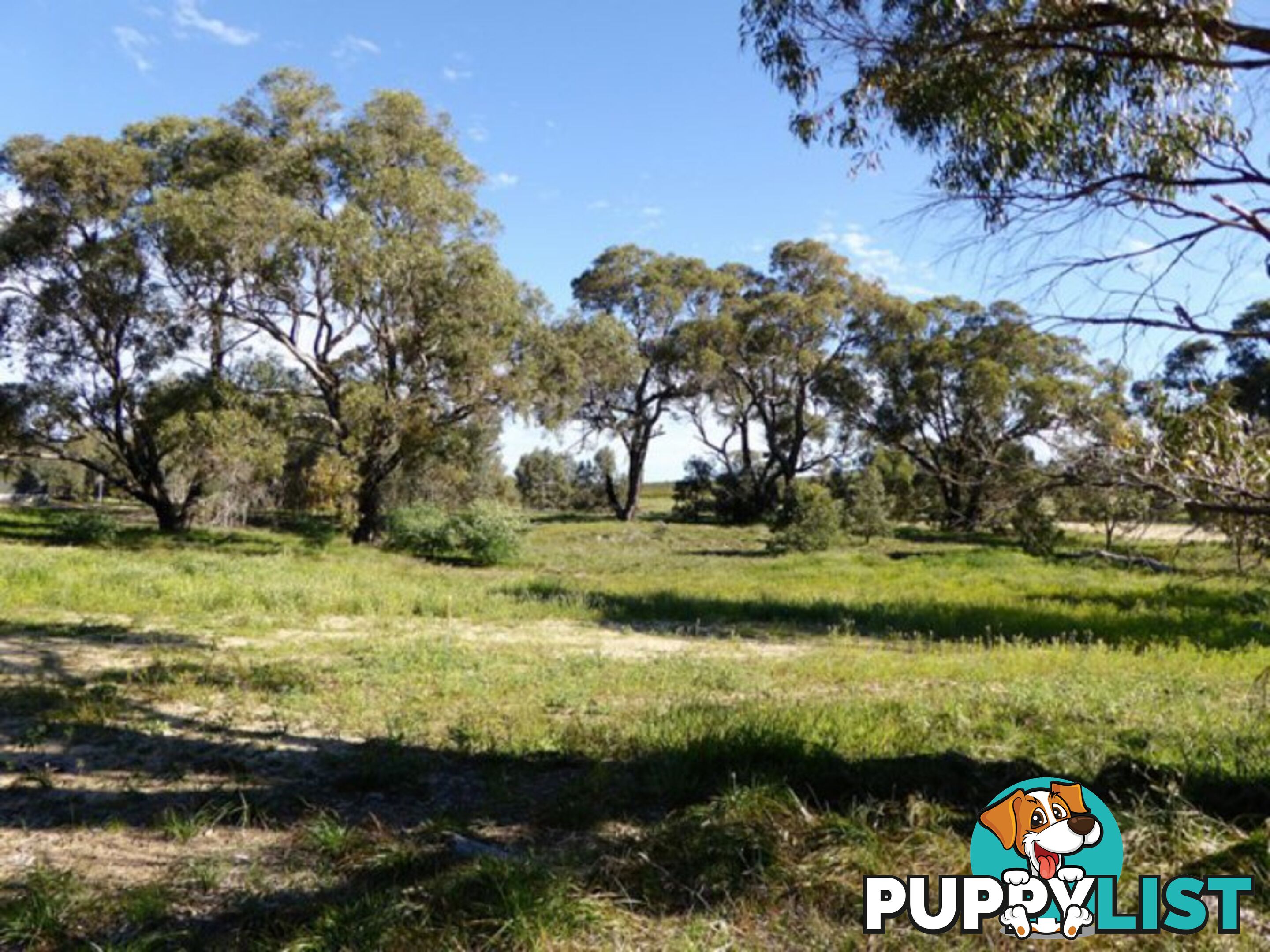 Lot 115 Cinnamon Meander TWO ROCKS WA 6037