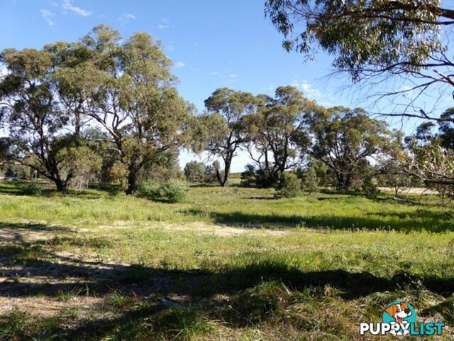 Lot 115 Cinnamon Meander TWO ROCKS WA 6037