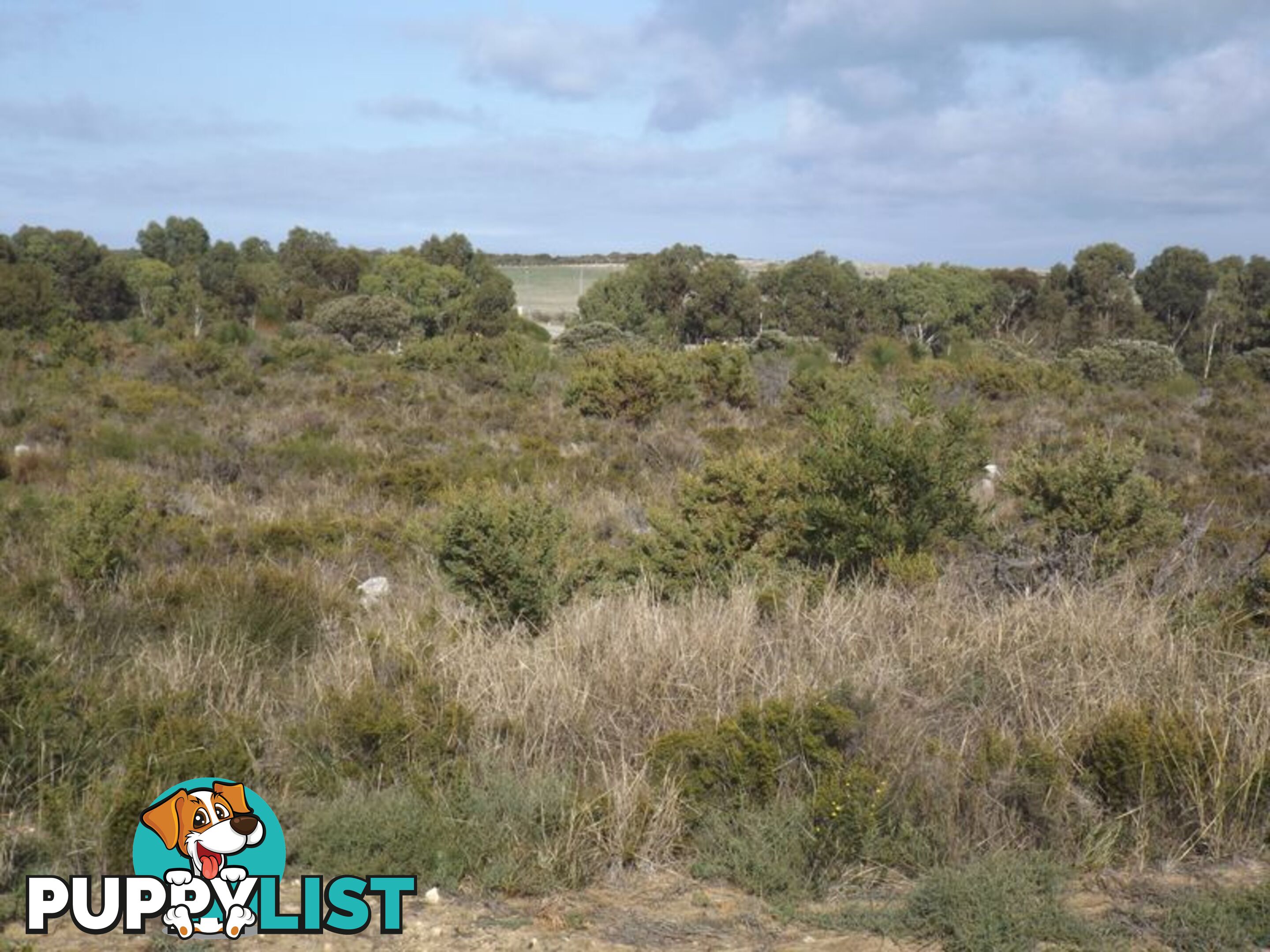 Lot 73 Seaflower Way GABBADAH WA 6041