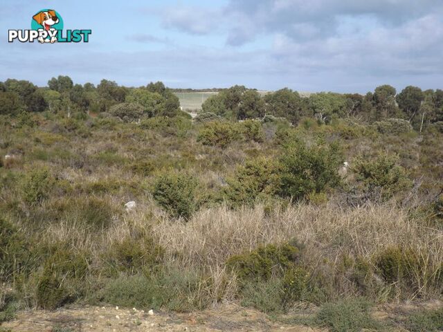 Lot 73 Seaflower Way GABBADAH WA 6041