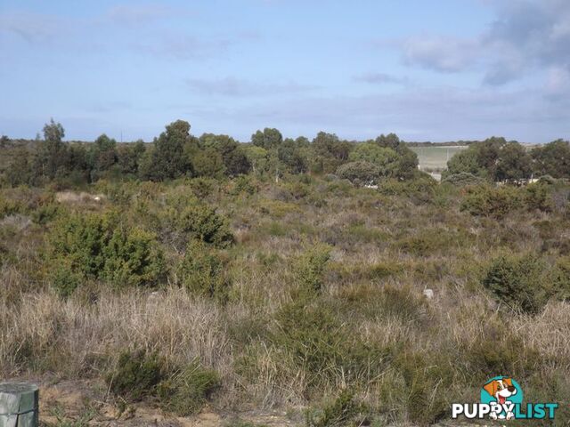 Lot 73 Seaflower Way GABBADAH WA 6041