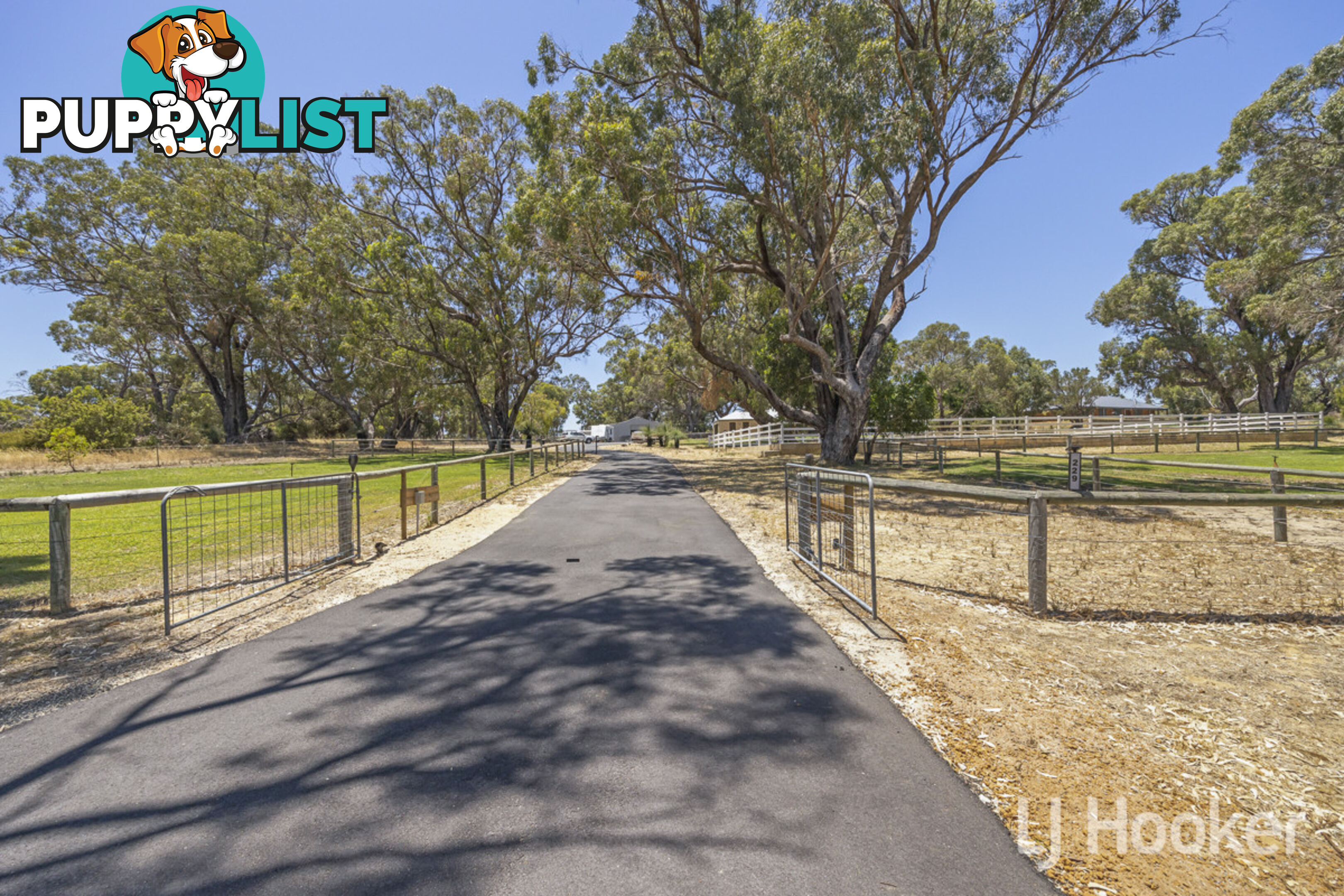 229 Countryside Drive TWO ROCKS WA 6037