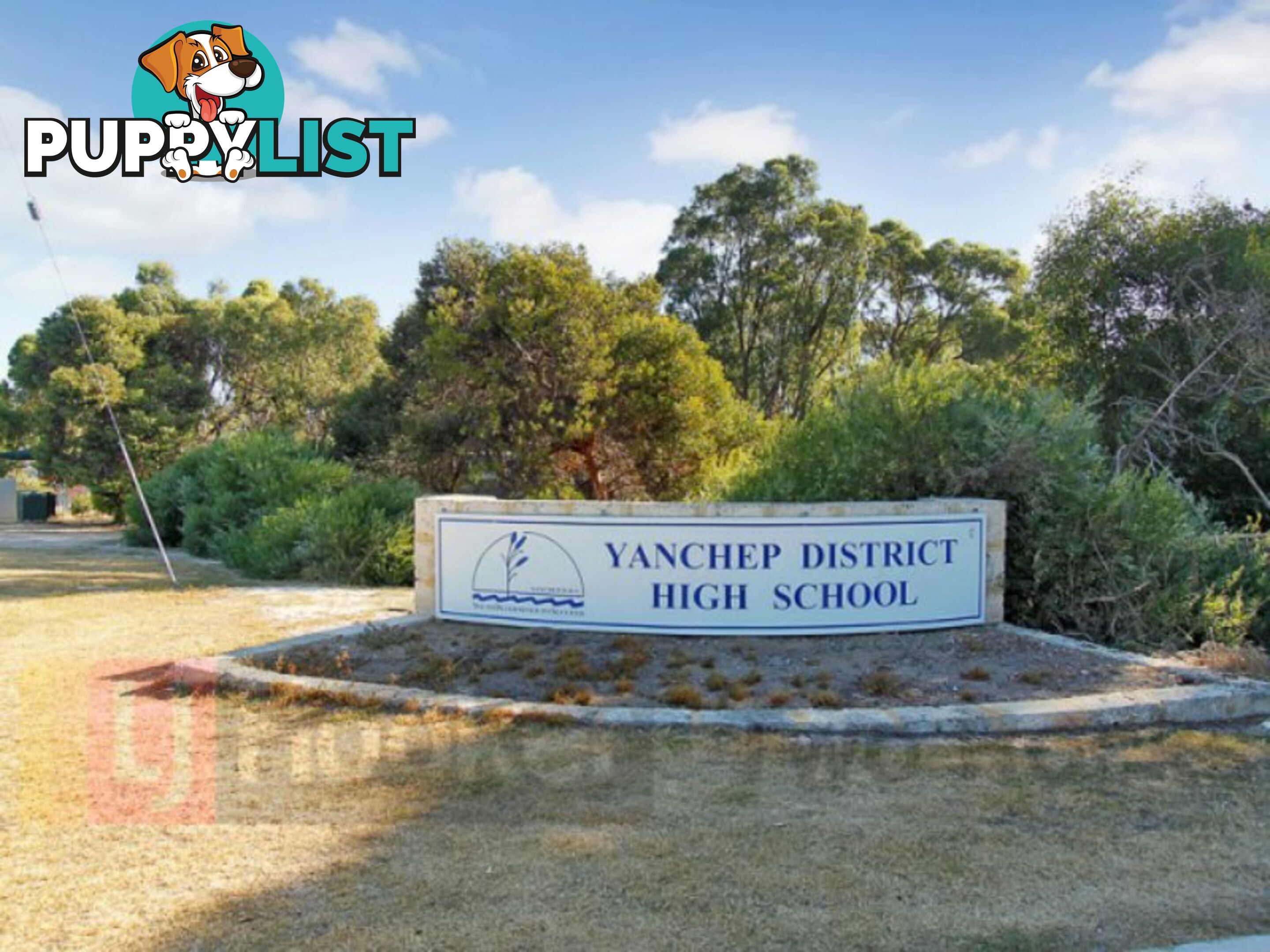 53 St Ives Drive YANCHEP WA 6035