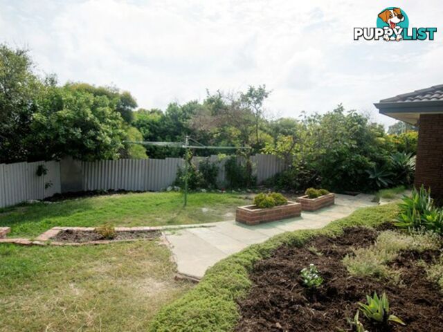 53 St Ives Drive YANCHEP WA 6035