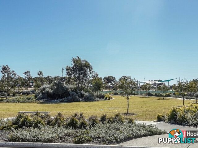 31 Dunk Street YANCHEP WA 6035