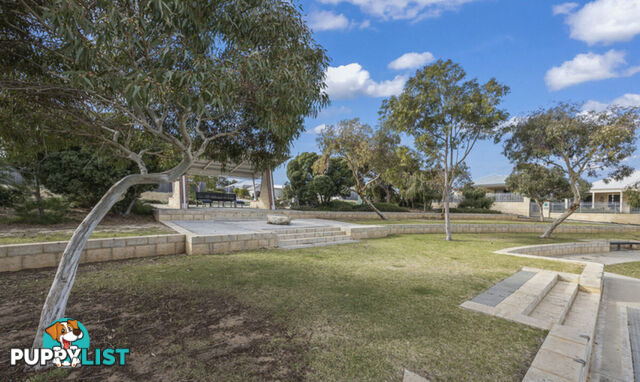 19 Harford Grove YANCHEP WA 6035