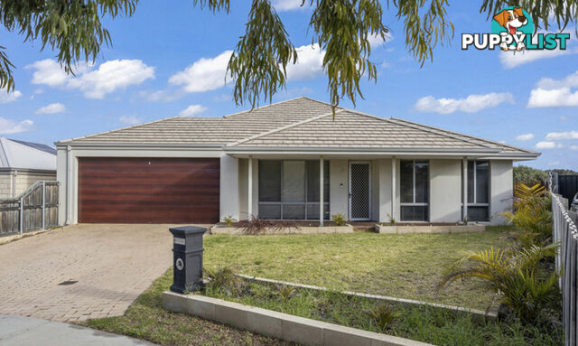 19 Harford Grove YANCHEP WA 6035