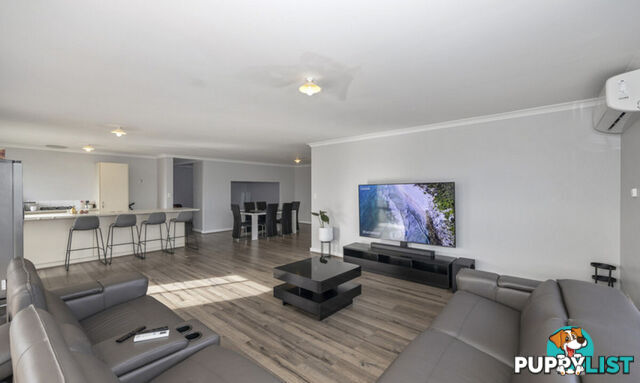 19 Harford Grove YANCHEP WA 6035